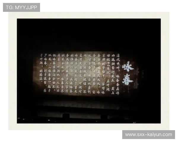 《武术与音乐的完美融合探索：传统与现代元素的交织与创新》